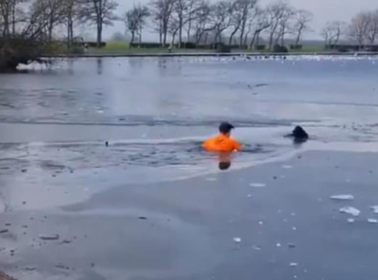 El hombre continuó haciendo ejercicio tras rescatar al perro (CAPTURA)