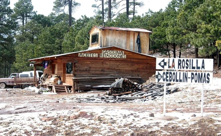 La entidad duranguense sigue cubierta bajo la masa polar y lo que queda del frente frío número 26, por lo que durante toda la semana se han mantenido las temperaturas gélidas en la gran mayoría de los municipios.
(ARCHIVO)