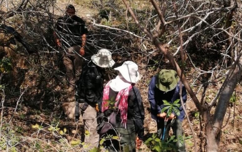 'México entero es una fosa común. Donde quiera que tú camines vas a caminar sobre los cuerpos de los miles y miles de desaparecidos', expresa López en entrevista con Efe desde el campamento de familiares de desaparecidos erigido a las puertas de la Secretaría de Gobernación federal, en Ciudad de México.
(ARCHIVO)