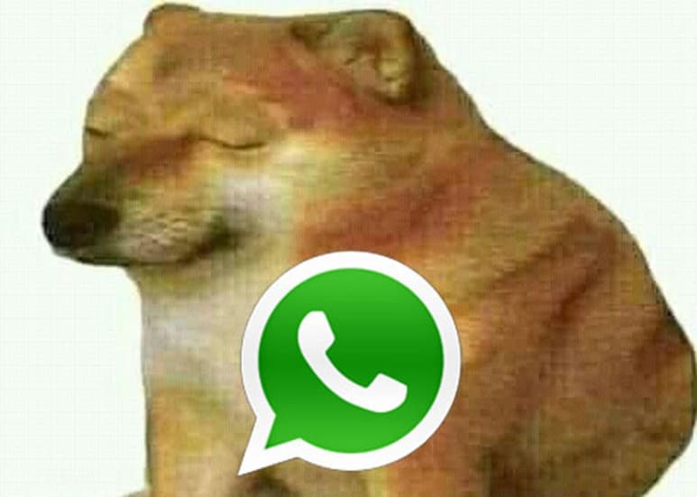 La polémica con los nuevos términos de WhatsApp ha llevado a varios usados a mudarse de aplicación, optando por otras como Telegram o Signal (CAPTURA)