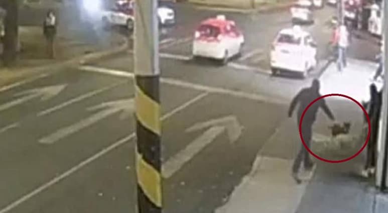 Al verse abordado por perros, el sujeto sacó un arma de fuego y disparó contra uno de ellos (CAPTURA)