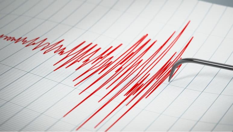 Un sismo de magnitud 7.1 en la escala Richter sacudió este sábado Antártida, las autoridades de Chile emitieron una alerta de emergencia y pidieron a la ciudadanía abandonar las zonas de playa. (ESPECIAL/ TWITTER)