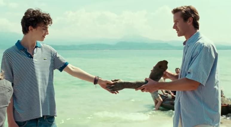 Call me by your name, es la cinta protagonizada por Timothée Chalamet y Armie Hammer que ahora está disponible en Netflix, misma que hace su estreno en la plataforma luego de su lanzamiento en 2017. (ESPECIAL)