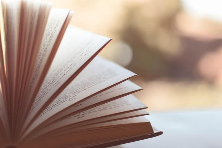 12 frases con enseñanza para compartir con tu hijos
