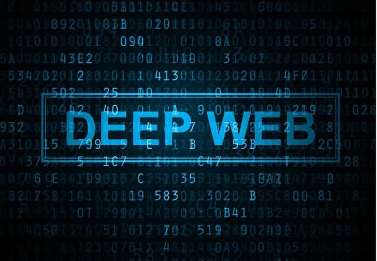 Un estudio identificó 778 listados que navegaban en los mercados de la web oscura (DWM), antes que las vacunas contra el COVID-19 estuvieran disponibles, en los que se comercializaban productos relacionados con el combate a la pandemia, así como equipo de protección personal (EPP), fármacos como la hidroxicloroquina y con el fraude médico, por lo cual un grupo de investigadores ya trabaja en el monitoreo de buscadores ilegales en internet que ofrezca la venta de dosis inmunizantes. (Especial)