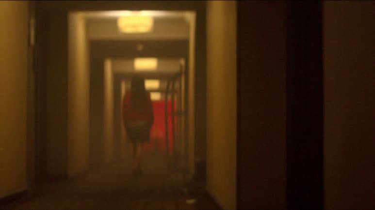 Netflix acaba de estrenar su nuevo documental titulado Escena del crimen: Desaparición en el hotel Cecil, donde aborda el misterioso caso sin resolver de Elisa Lam en el famoso lugar. (ESPECIAL)