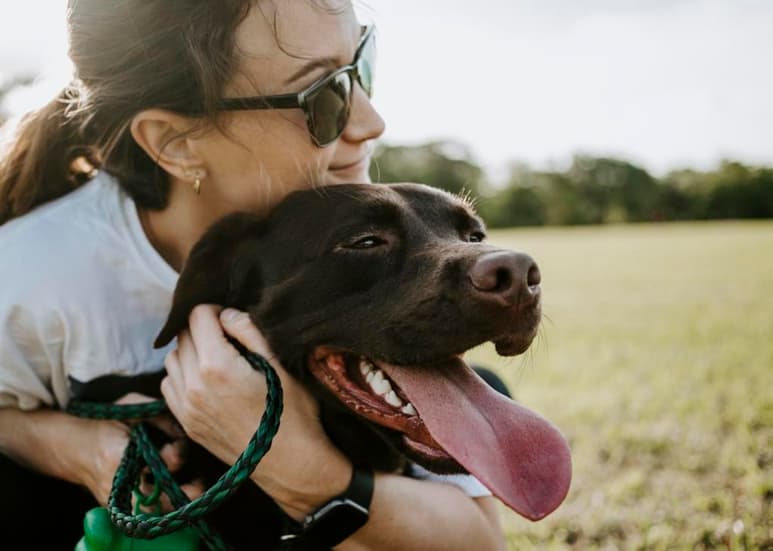 El amor por los animales de compañía es cada vez más grande en Estados Unidos, tanto que un estudio afirma que dos de cada diez propietarios de perros en este país prefieren celebrar San Valentín con ellos antes que con una pareja romántica. (Especial)