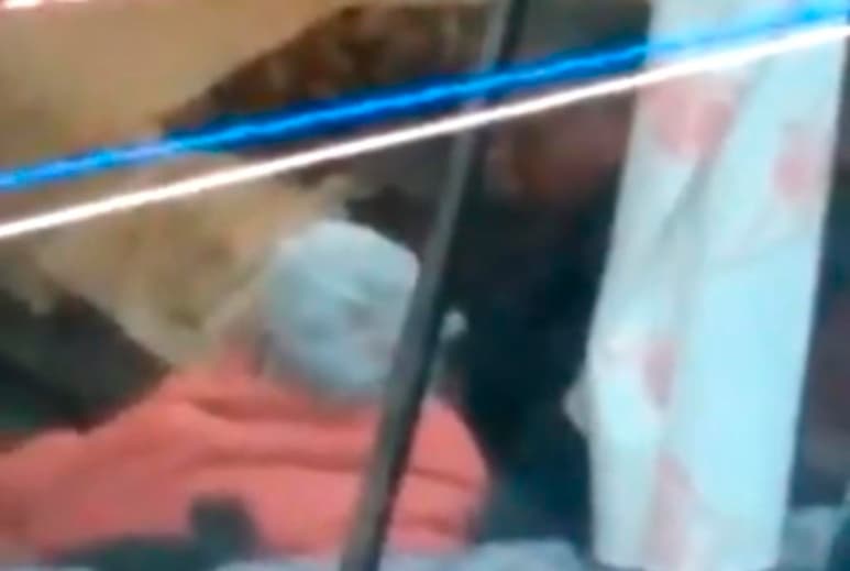 La Secretaría de Inclusión y Bienestar Social de la Ciudad de México, señaló que la mujer de 95 años ay fue resguardada y que su hijo, el agresor, no podrá acercarse a ella (CAPTURA)