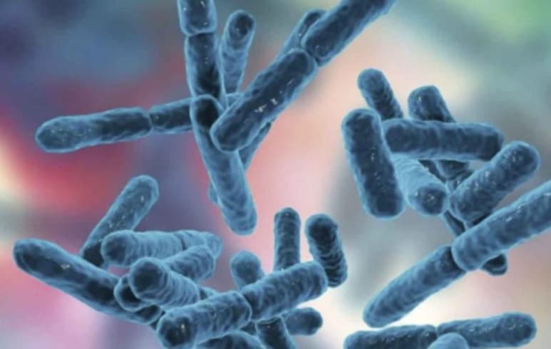 Cuando se habla de bacterias se suele pensar en que son dañinas para el organismo. Sin embargo, existen bacterias que si se consumen son benéficas para el cuerpo humano. (Especial)
