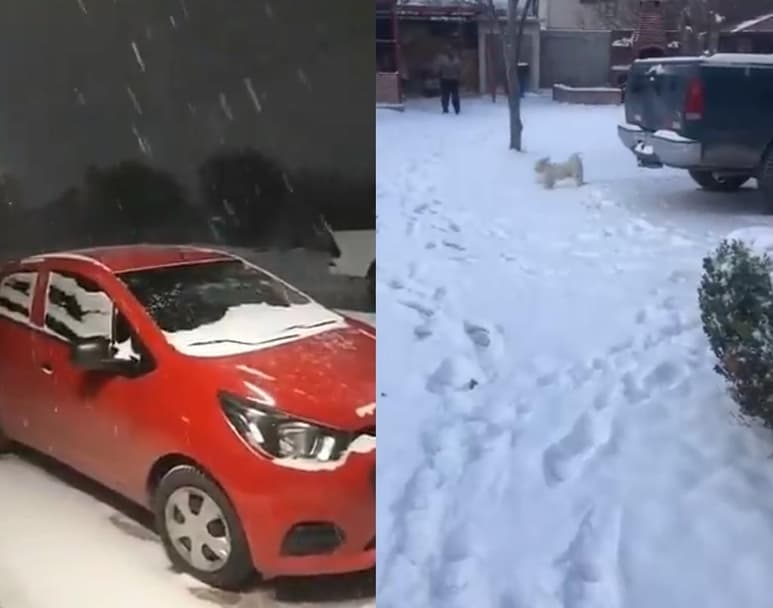 La caída de aguanieve y nieve durante el Frente Frío Número 35, se convirtió en el escenario ideal para fotografías y videos de diversos usuarios en redes sociales (CAPTURA)