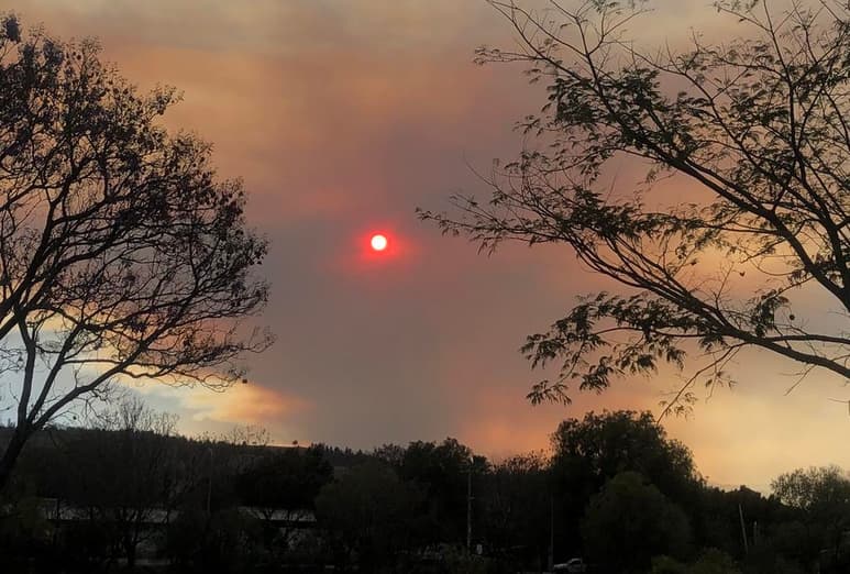 El humo del incendio cubrió el cielo de Oaxaca, durante el atardecer, hecho que fue compartido en redes (ESPECIAL)