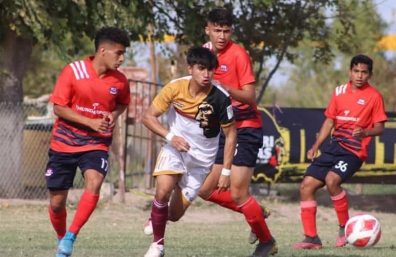 Buscando reafirmarse como un equipo sólido y competitivo, los Irritilas de San Pedro de las Colonias anunciaron una serie de fichajes para su plantilla que actualmente disputa la segunda vuelta de la temporada regular en la Tercera División Profesional del futbol mexicano. (ARCHIVO)
