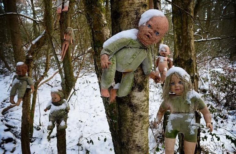 Las muñecas en mal estado se encontraban colgando de los árboles, aparentemente acomodadas en una formación especial (CAPTURA)