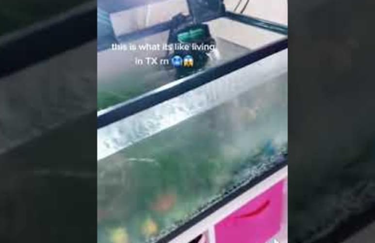 El video se volvió viral en Tik Tok (CAPTURA)