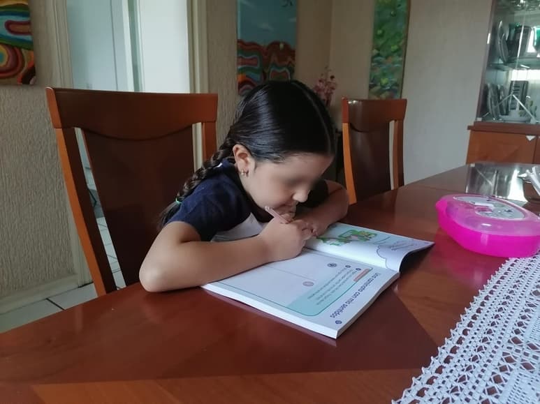 Los padres y madres de familia pidieron a la SEP no dejarse presionar por las voces que no cuidan la comunidad educativa. (ARCHIVO)