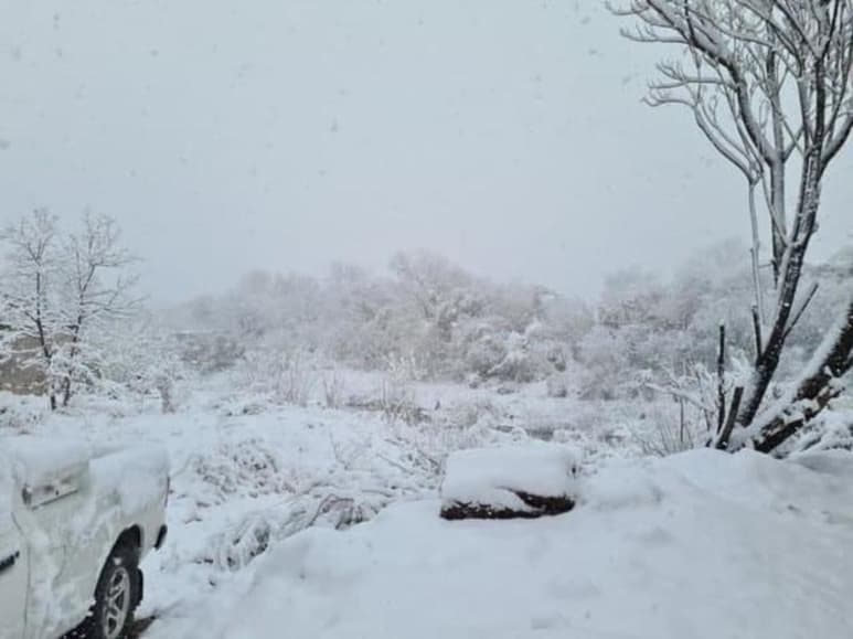Nevadas cayeron en varios municipios de las zonas Norte y Carbonífera de Coahuila.