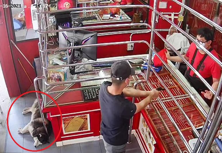 La escena causa risa entre internautas. (INTERNET)
