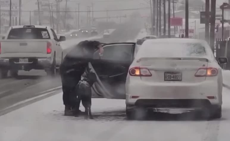 La mujer consiguió resguardar al can de la tormenta invernal (CAPTURA)