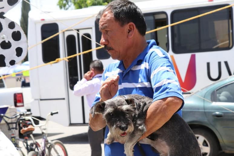 Se aplican vacunas contra la rabia y desparasitaciones a mascotas. (ARCHIVO)