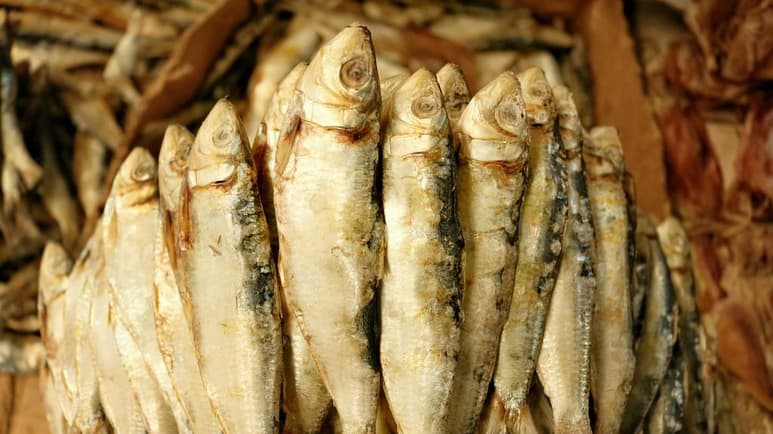 La Cuaresma es la oportunidad perfecta para que pruebes nuevos platillos sin carnes rojas. En esta temporada del año, los pescados son excelente alternativa por su sabor y sus beneficios para la salud. Entre la enorme variedad de especies marinas, destacan las sardinas. (Especial)