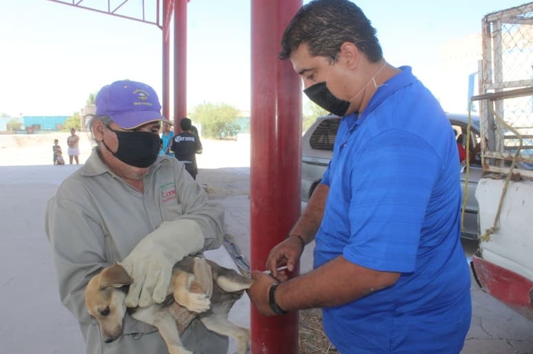 La campaña antirrábica se realizó el pasado jueves y viernes en las comunidades rurales de San Antonio Gurza y La Rosita. (EL SIGLO DE TORREÓN)