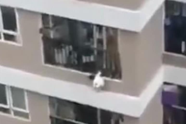 La menor fue trasladada a un hospital (CAPTURA)
