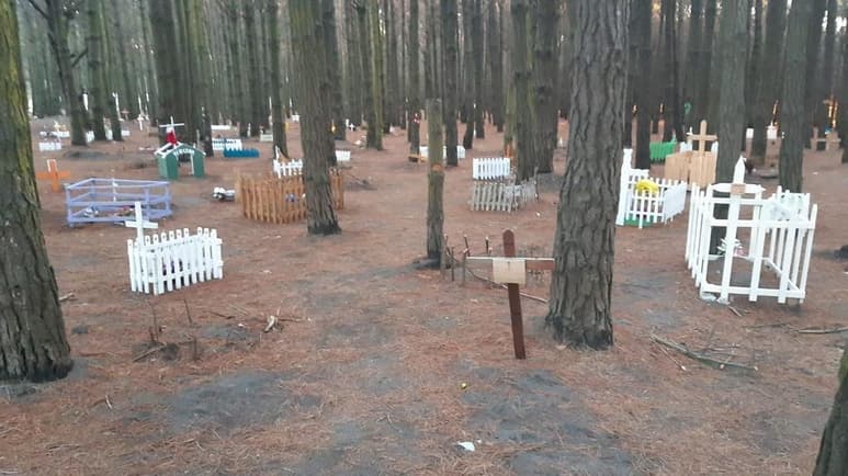 El hallazgo se ha viralizado en redes gracias a las tumbas que conforman al cementerio dedicado a las mascotas (FACEBOOK)