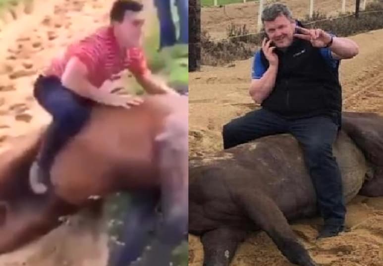 De acuerdo a las palabras de Robert James, el caballo que aparece en las imágenes falleció después de una rutina de ejercicio en 2016 (CAPTURA)