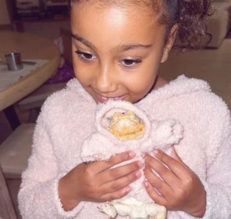 Kim Kardashian sorprendió una vez más a sus seguidores de redes sociales con una nueva decisión 'lujosa' para la mascota de su hija mayor, North. (Especial)
