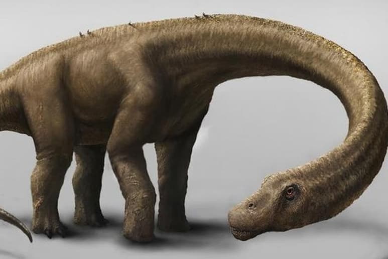 Paleontólogos argentinos anunciaron el descubrimiento del titanosaurio más antiguo del mundo, que habitó la Patagonia argentina hace 140 millones de años. (Especial)