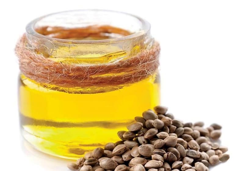 Las semillas de cáñamo son nutritivas por muchas razones, pero lo más sorprendente son las grasas de alta calidad que producen cuando se prensan en frío para convertirlas en aceite.
