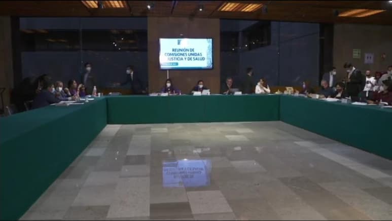 Las comisiones unidas de Justicia y de Salud de la Cámara de Diputados aprobaron la minuta para el uso lúdico de la marihuana con el que se expide la Ley Federal para la Regulación del Cannabis y reforma diversos artículos de la Ley General de Salud y del Código Penal Federal. (ESPECIAL)