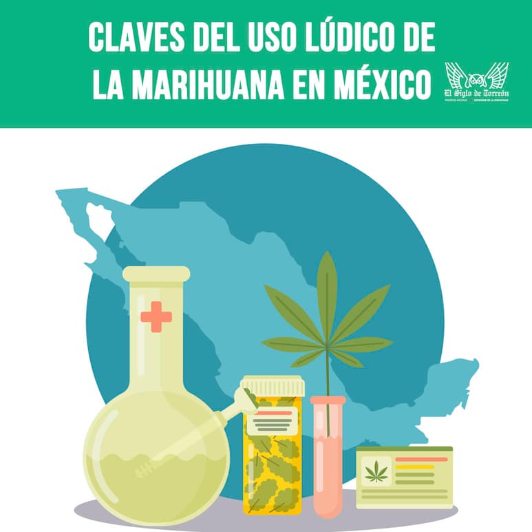 INFOGRAFÍAS: ALEJANDRA MORALES