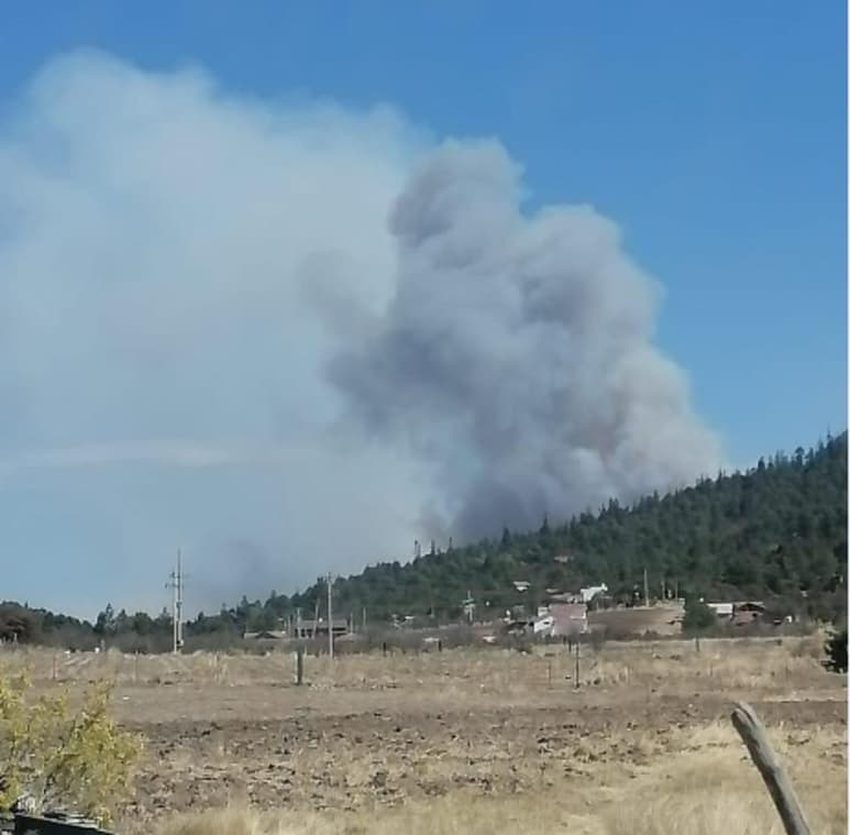 Al lugar acudieron Bomberos, elementos de Medio Ambiente y de Comisión Nacional Forestal (Conafor) para combatir el fuego.