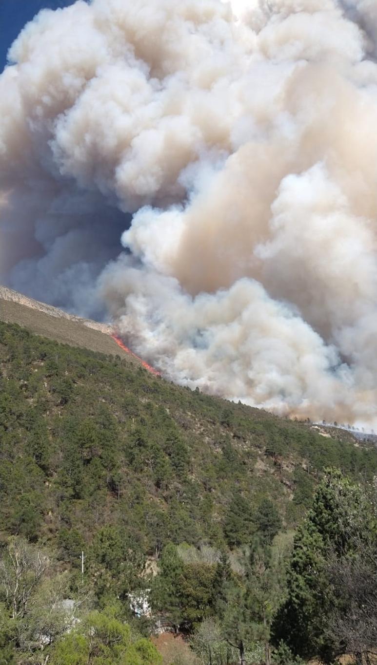 En ejido de Arteaga se presentó un incendio por varias hectáreas.