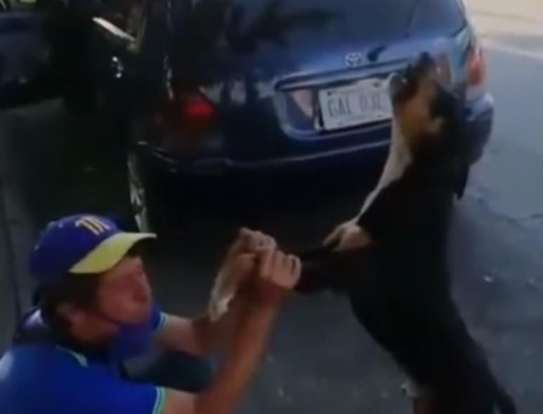 Mediante redes sociales se volvió viral el video de un pequeño perrito 'cantando' junto a su dueño el tema mexicano 'Cucurrucucú paloma'. (Instagram)