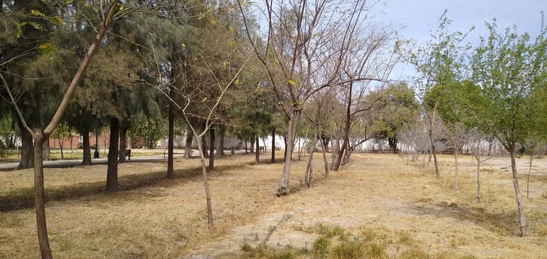 La pequeña acequia de este parque no lleva agua mientras que con una manguera se riegan solamente algunas partes.