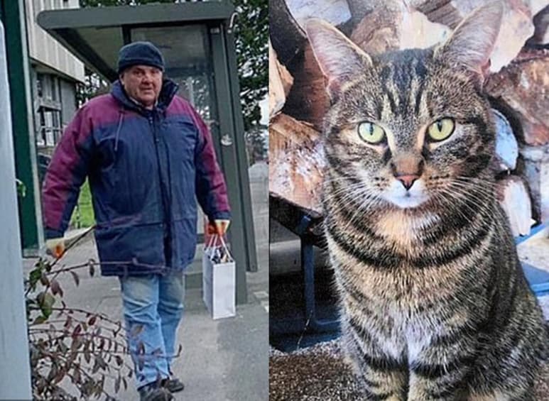 La dueña dice que el hombre admitió, sin remordimientos, haber matado al gato. (INTERNET)