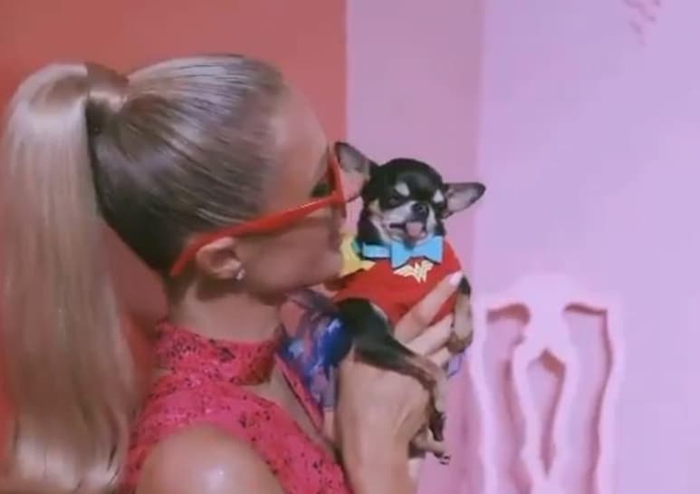 La socialité Paris Hilton es una especialista en consentir a sus perros de raza chihuahua, pues además de mandarles construir una mansión de gran tamaño para que se resguarden con total comodidad, esta vez se fue de compras a la tienda de lujo Privé Porter, que distribuye bolsos Hermès, y adquirió un modelo especialmente para mascotas, cuyo costo es de 5 mil 500 dólares, es decir, 113 mil 300 pesos, aproximadamente. (Especial)