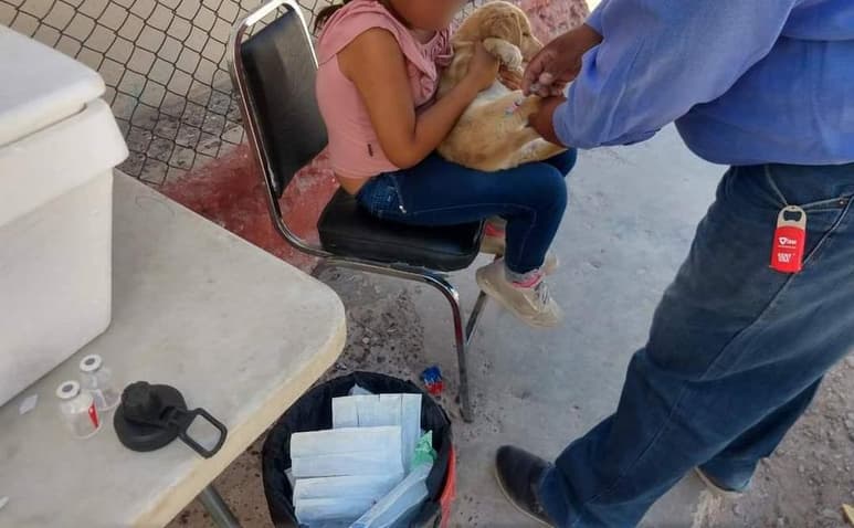 Durante la semana pasada fueron vacunados más de 1,032 animales mediante las brigadas.