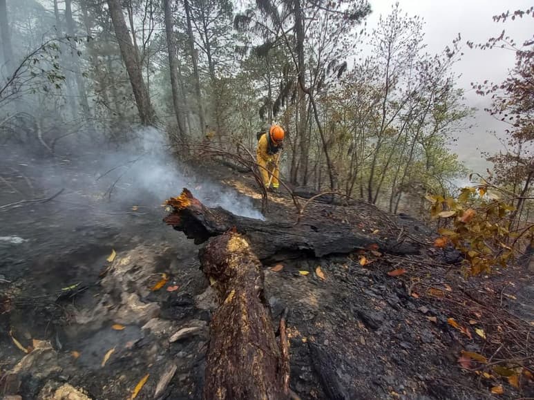 Durante la última semana se llegaron a registrar ocho incendios forestales de manera simultánea en la entidad, al cierre de la jornada de labores de este jueves, sólo permanece activo un siniestro en el municipio de Montemorelos, mientras que desde el 15 de marzo afectó la sierra de Santiago, por lo que requirió este día solamente trabajo de enfriamiento y rescoldeo para su liquidación total. (TWITTER)
