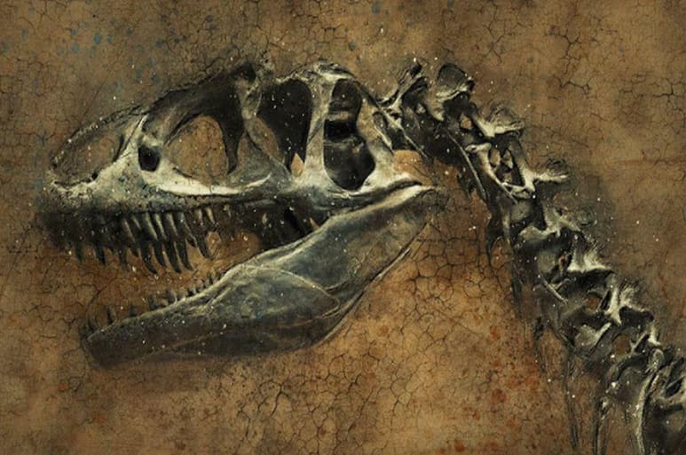 Un equipo científico ha descubierto una nueva especie de dinosaurio carnívoro, bautizada como Llukalkan aliocranianus, que habitaba en la Patagonia, en la Argentina actual, según un estudio publicado en la revista Journal of Vertebrate Paleontology. (ESPECIAL)