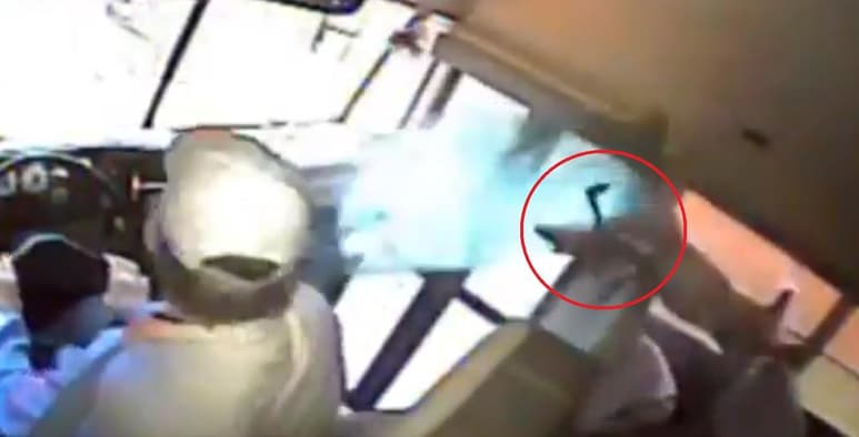 El animal cayó sobre un estudiante que iba dormido en el camión tras atravesar uno de los cristales frontales (CAPTURA) 