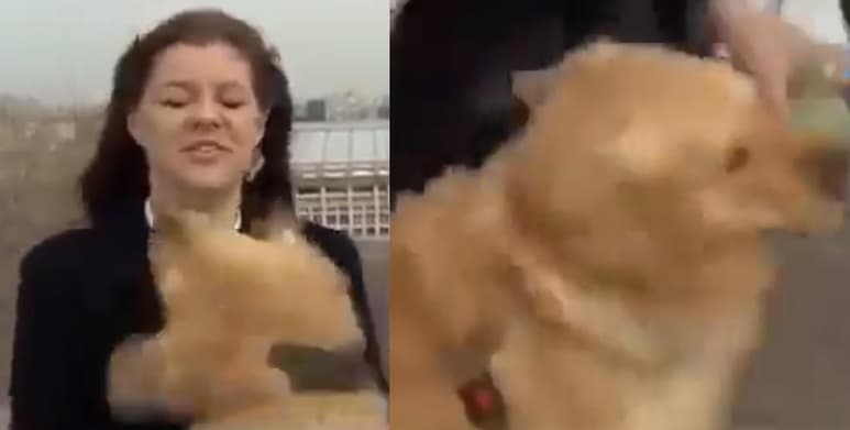 El momento ha vuelto viral a la reportera en redes (CAPTURA)