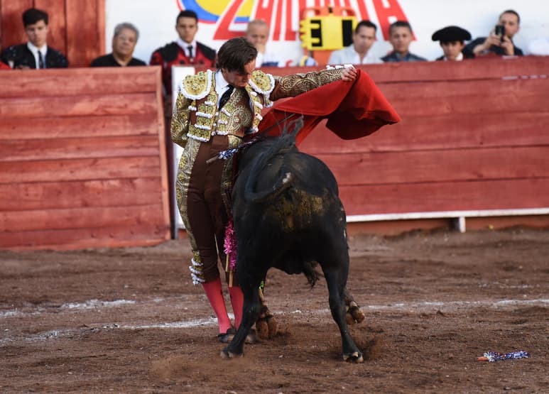 La Fiesta Brava está de regreso en La Laguna. Fue presentada la corrida de toros que reactiva la tauromaquia en la plaza “Alberto Balderas” de Ciudad Lerdo, con un “mano a mano” entre los hidrocálidos Arturo Saldívar y Luis David Adame. (Especial)