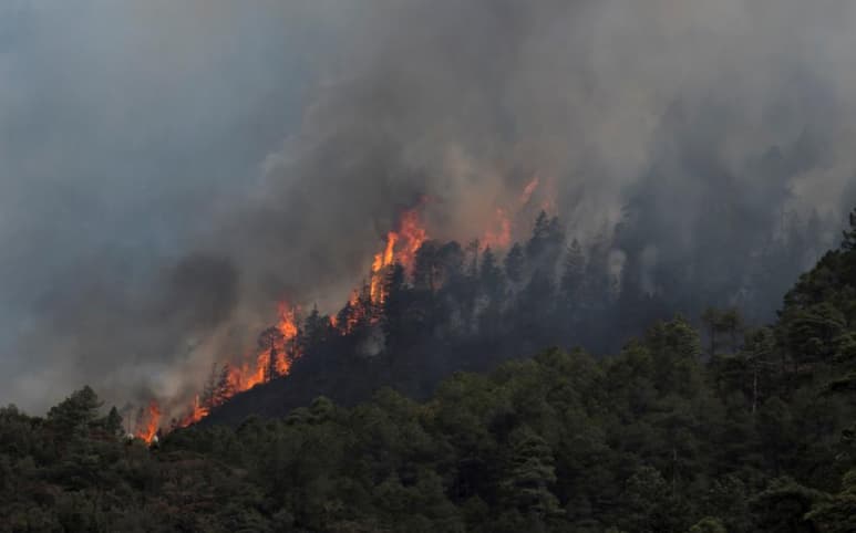 México registra 55 incendios activos en 16 de los 32 estados que integran el país y que afectan 30,454 hectáreas, informó este sábado la Comisión Nacional Forestal (Conafor) del Gobierno mexicano. (Especial)