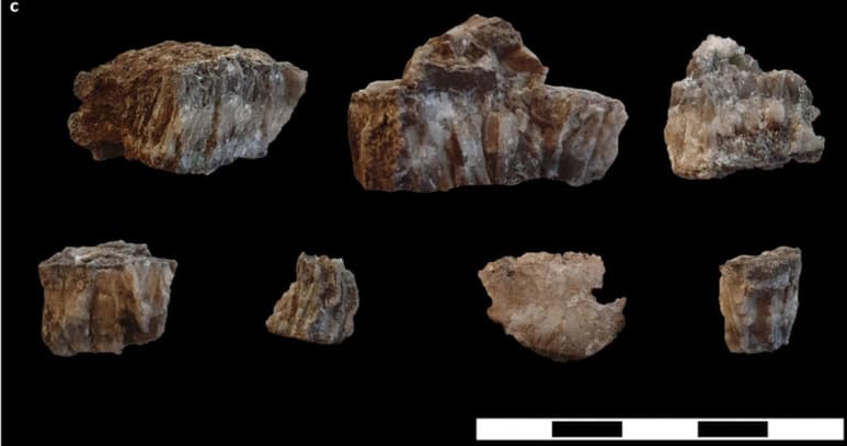 Hasta ahora, las principales hipótesis de la evolución humana situaban el origen del hombre moderno (Homo sapiens) en los entornos costeros del sur de África pero los hallazgos arqueológicos de un refugio rocoso en el desierto del Kalahari, en Sudáfrica, han puesto en entredicho esta teoría. (ESPECIAL)