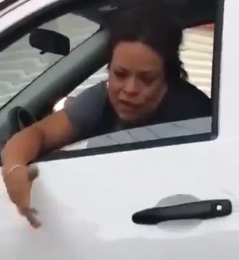 Luego de que circularan videos donde se observa a Linda Ruiz, aspirante a concejal con el panista Mauricio Tabe en Miguel Hidalgo, manejando ebria, esta tarde de martes, el propio aspirante informó que aceptó la renuncia de Ruiz a su proyecto. (ESPECIAL)