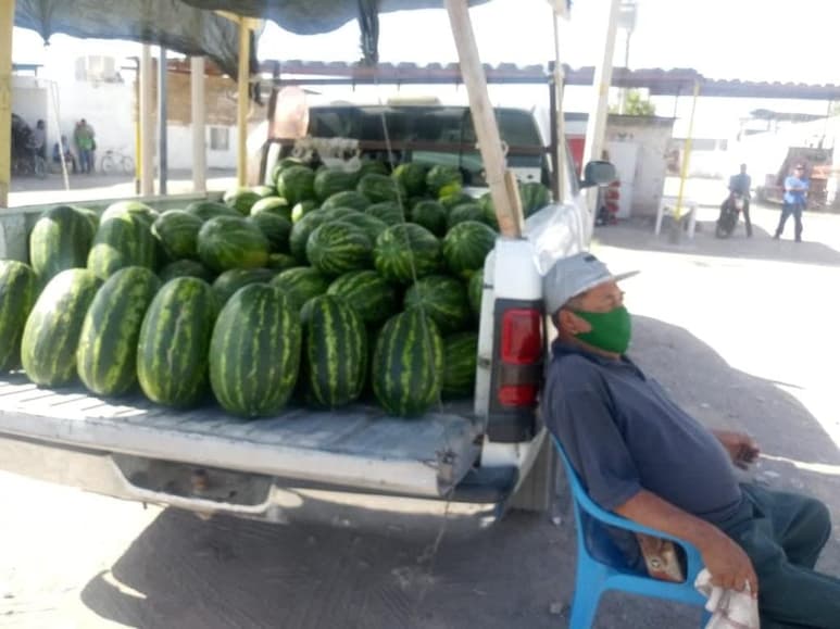 Comenzó la “calienta” del melón y sandía en el municipio de Matamoros y en el lugar conocido como Las Meloneras, a la salida de la ciudad hacia Saltillo, ya está la venta con muy buen precio para los productores. (El Siglo de Torreón)