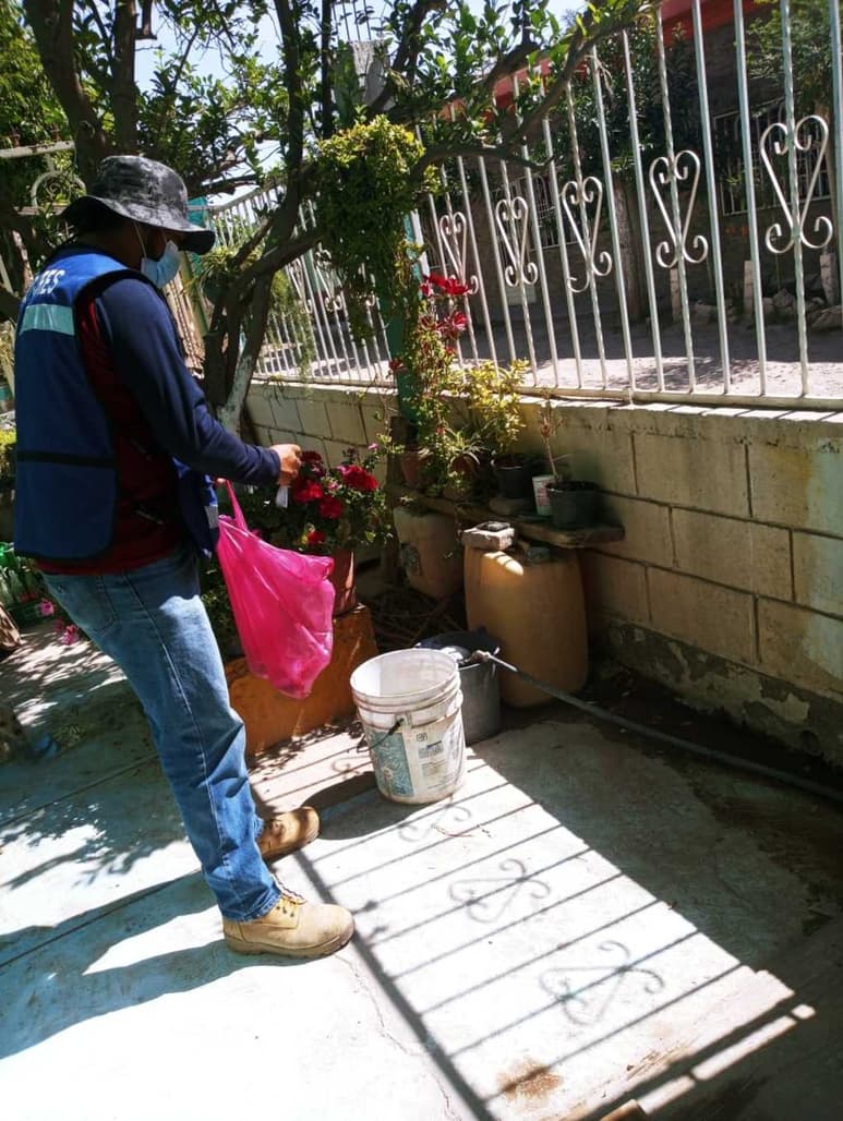 En los municipios de San Pedro y Matamoros se ha generado una estrategia integral con la finalidad de evitar la aparición del mosquito transmisor del dengue. (EL SIGLO DE TORREÓN)